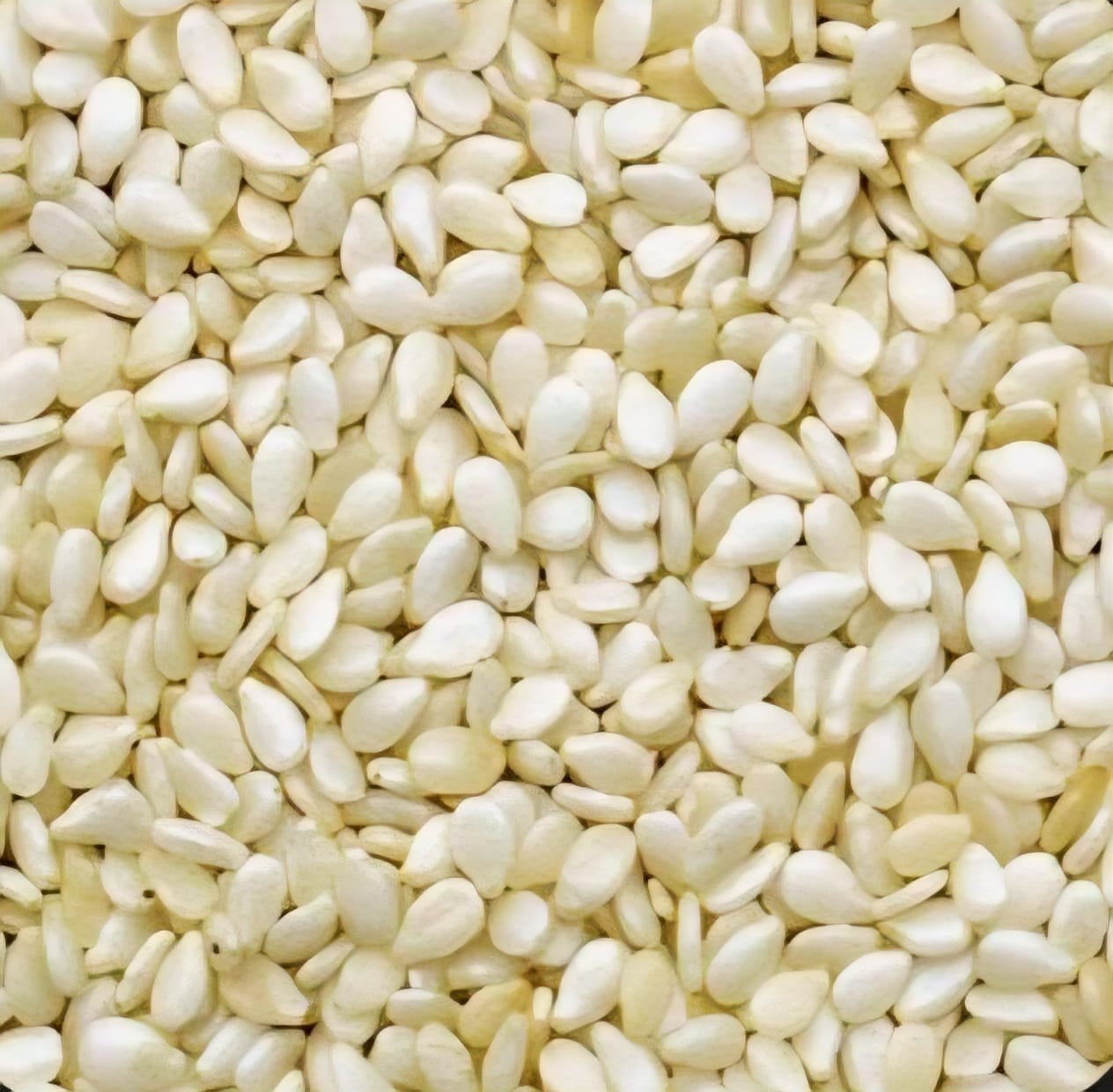 White Sesame Seeds